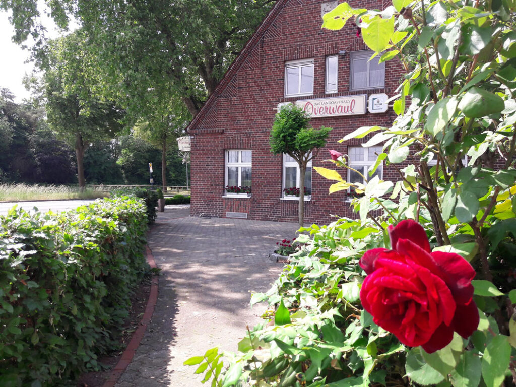 Rotes Backsteinhaus mit weißen Fenstern und einer leuchtend roten Rose im Vordergrund